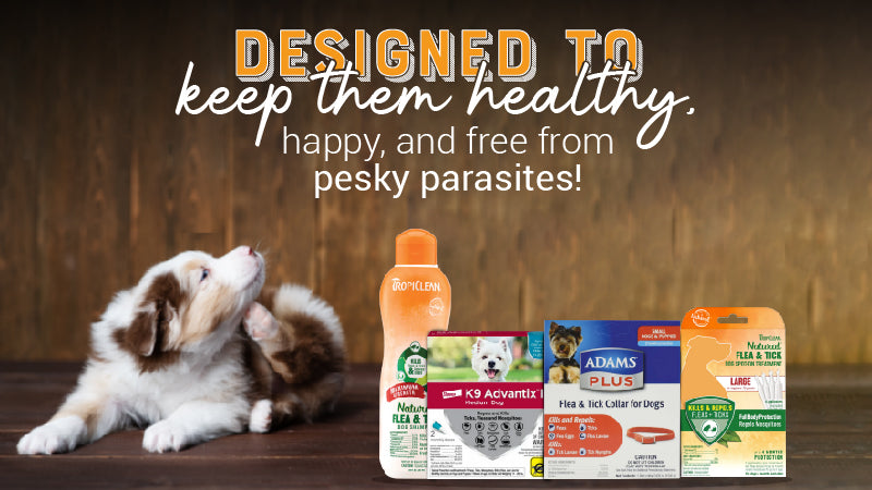 FLEA & TICKS ORAL – Kanu Pet