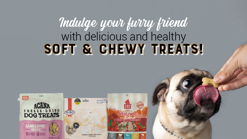 Banner_soft_y_chewy_treats-02_1