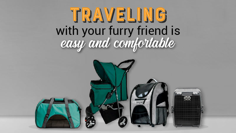 carriers and travels