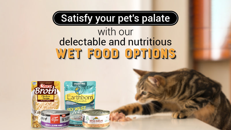 elevate mealtime excitement with our  delectable