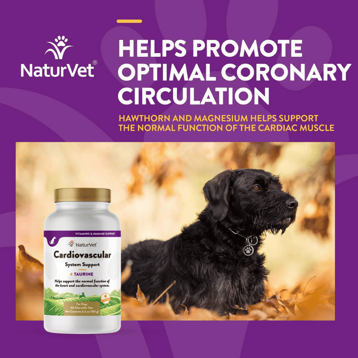 NaturVet Taurine Cardiovascular Support Dog Supplement | Kanu Pet