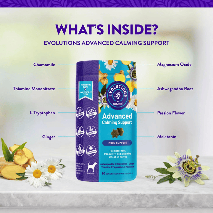 NaturVet Evolutions Advanced Calming for Dogs | Kanu Pet