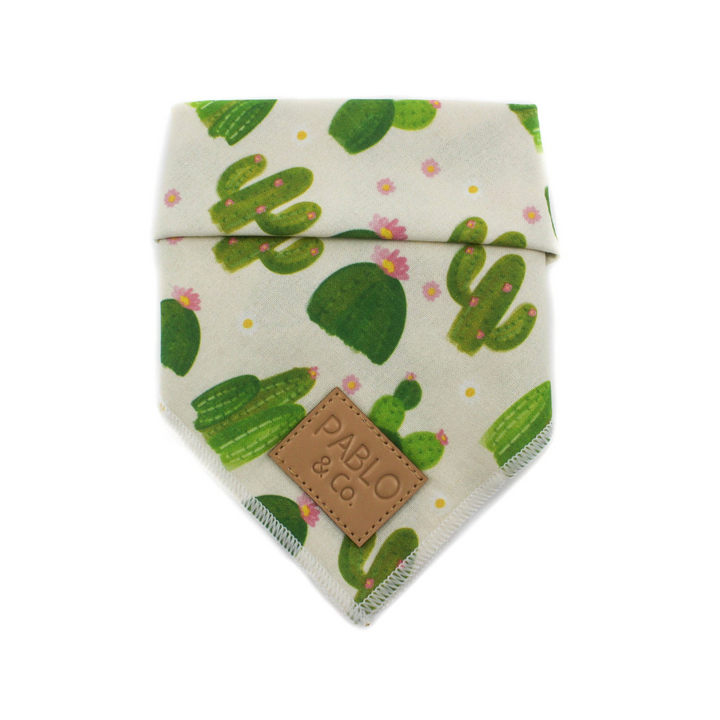 Pablo & Co. Cactus Dog Bandana | Kanu Pet