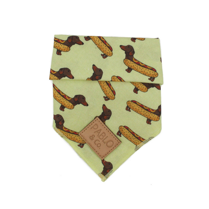 Pablo dog bandana clearance
