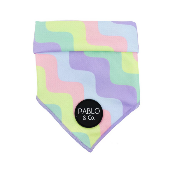 Pablo & Co. Pastel Swirls Dog Bandana | Kanu Pet
