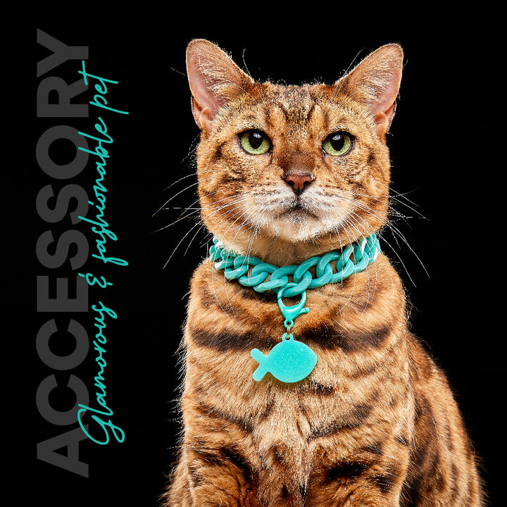 Kanu Pet Mint Acrylic Cuban Chain for Dogs & Cats | Kanu Pet