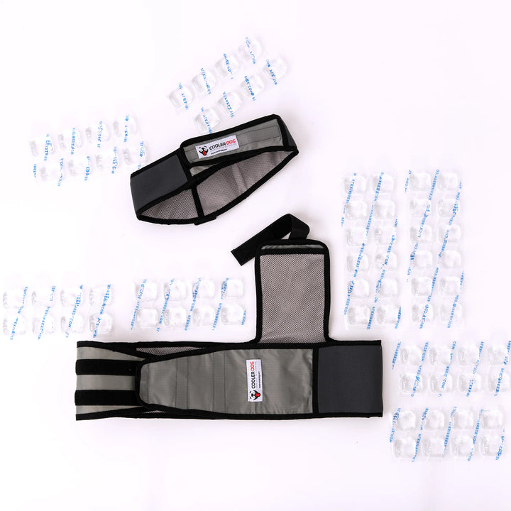 CoolerDog Cooling Dog Vest/Collar 