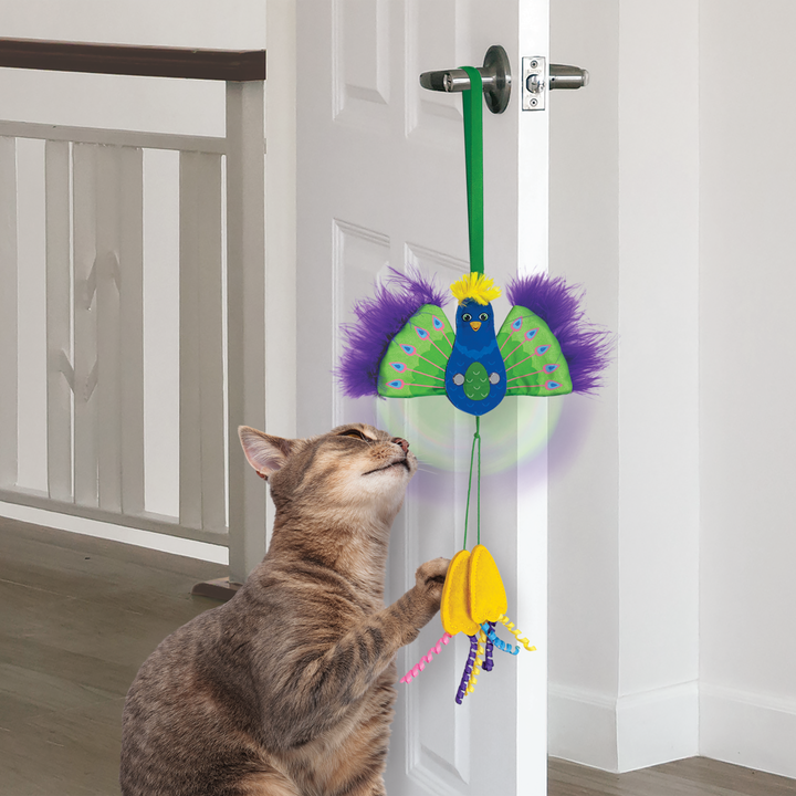 Kong Connects Peacock Cat Toy | Kanu Pet