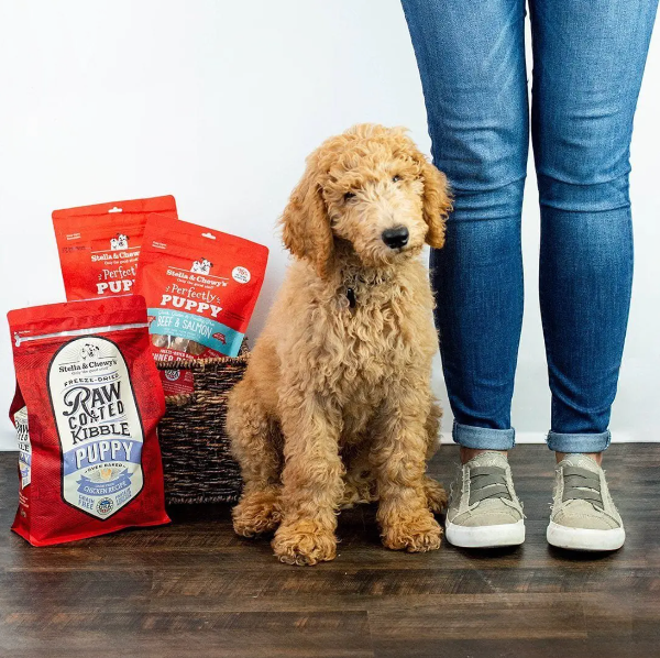 Stella & Chewy's Puppy Coated WholeSome Grains Dog Food | Kanu Pet
