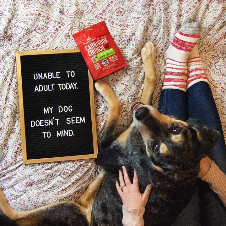 Stella & Chewy's Carnivore Crunch Freeze-Dried Dog Treats | Kanu Pet