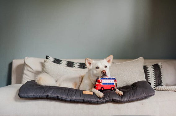 Pet Play Canine Commute Collection Dog Bus