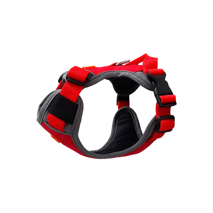 Kanu Walker Gray/Red Dog Harness | Kanu Pet