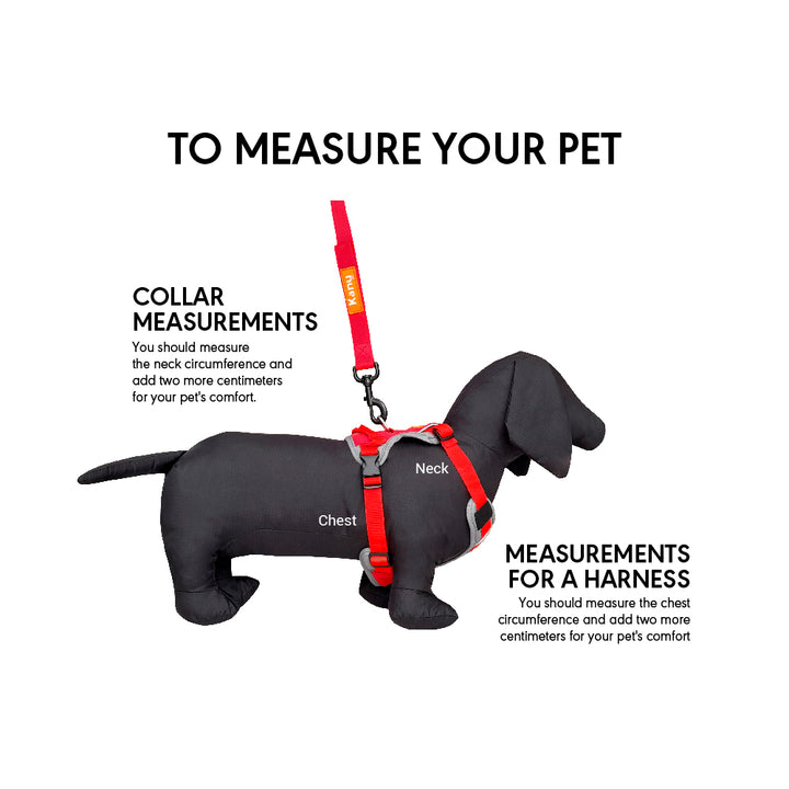 Kanu Walker Gray/Red Dog Harness | Kanu Pet