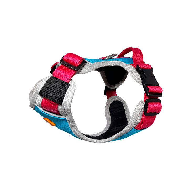 Kanu Mini Walker Fuchsia/Blue Dog Harness | Kanu Pet