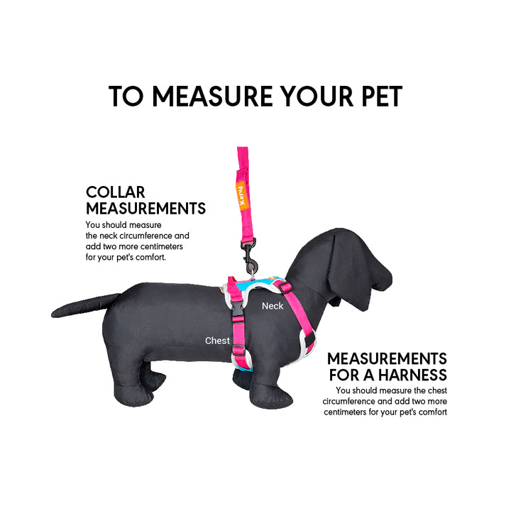 Kanu Mini Walker Fuchsia/Blue Dog Harness | Kanu Pet