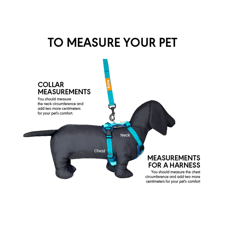 Kanu Mini Walker Jade/Green Dog Harness | Kanu Pet