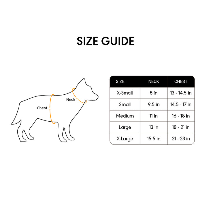 Kanu Mini Walker Jade/Green Dog Harness | Kanu Pet