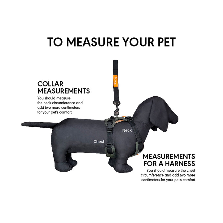 Kanu Mini Walker Black/Green Dog Harness | Kanu Pet