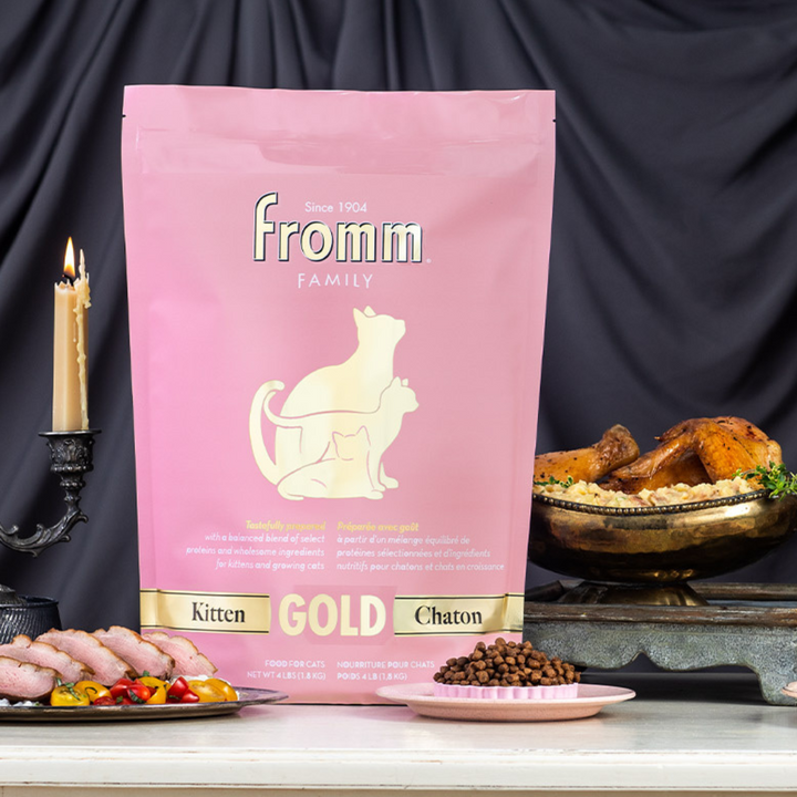 Fromm Gold Cat Dry Kitten | Kanu Pet