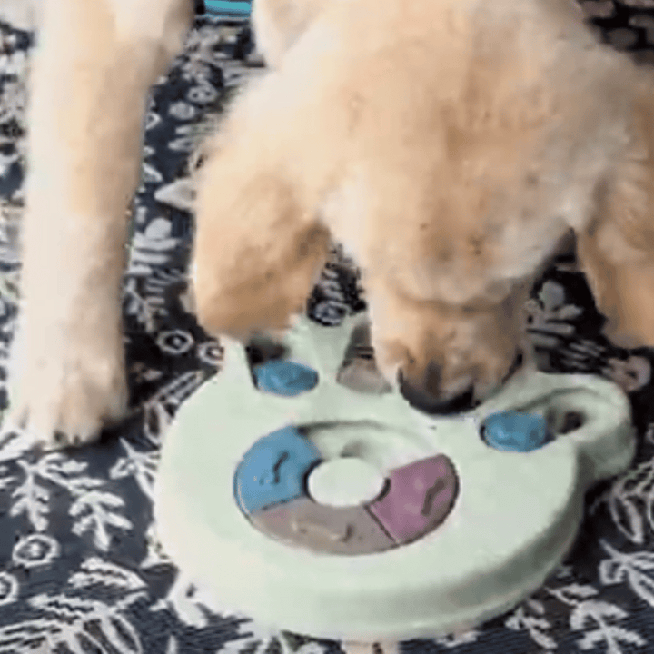 Kanu Didactic Paw Dog Feeder | Kanu Pet