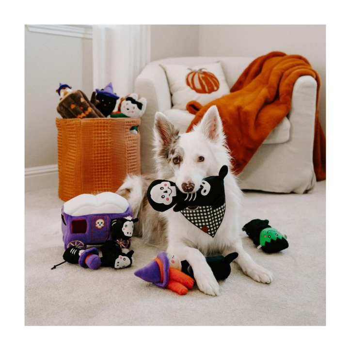 ZippyPaws Halloween Colossal Buddie Skeleton Dog Toy | Kanu Pet