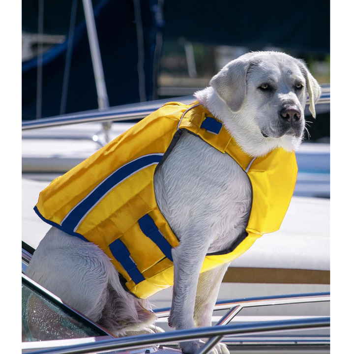 Bay Dog Life Jacket Orange Offshore | Kanu Pet