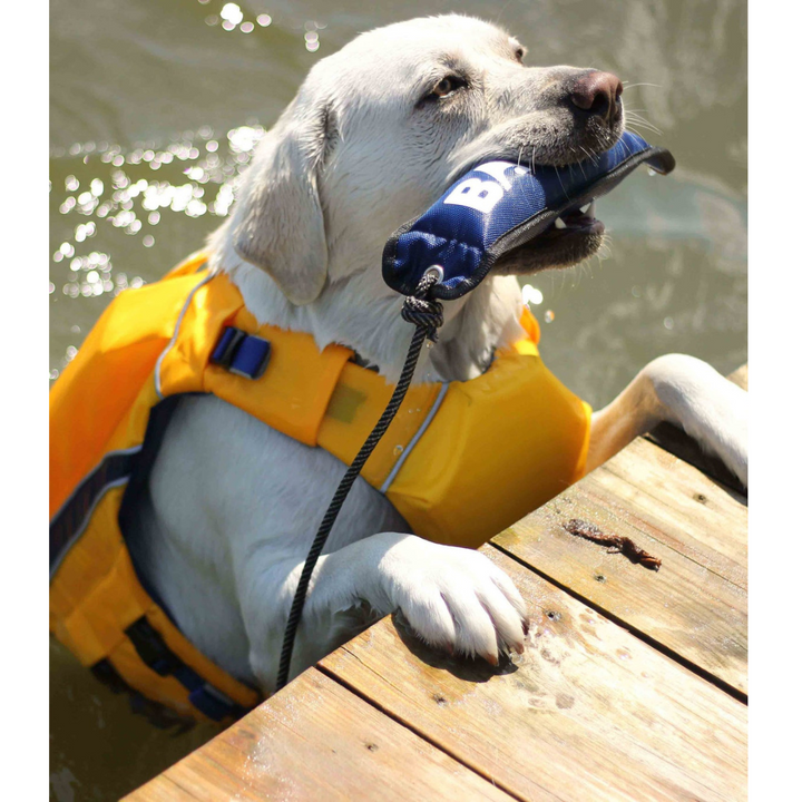 Bay Dog Life Jacket Orange Offshore | Kanu Pet