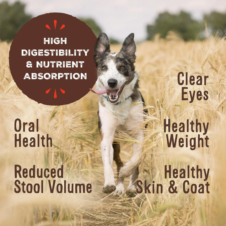 Primal™ Freeze Dried Raw Lamb Formula Dog Nuggets | Kanu Pet