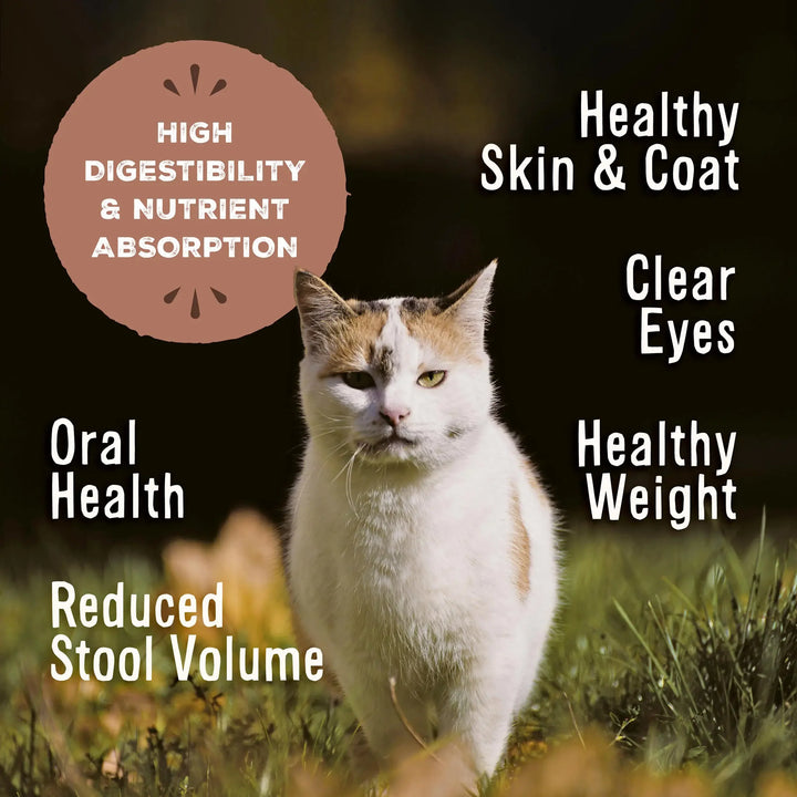 Primal Freeze Dried Raw Turkey Formula Cat Nuggets | Kanu Pet