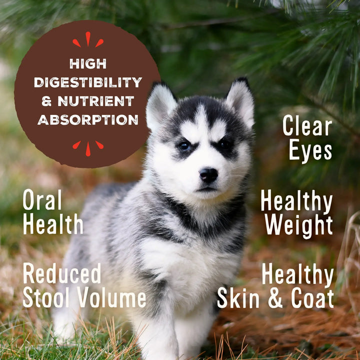 Primal Freeze-Dried Raw Pronto Chicken & Salmon Recipe  Puppy | Kanu Pet
