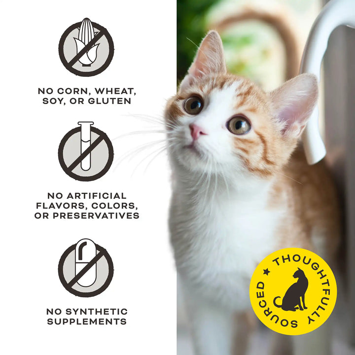 Primal Primal Chicken & the GOAT Milk Cat Treats   | Kanu Pet