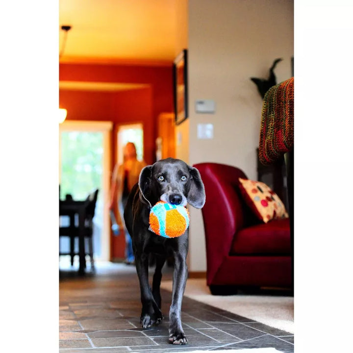 Chuckit! Dog Toy Ball Indoor | Kanu Pet