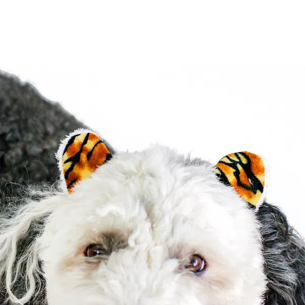 Midlee Designs Halloween Tiger Headband  Dog Costume | Kanu Pets