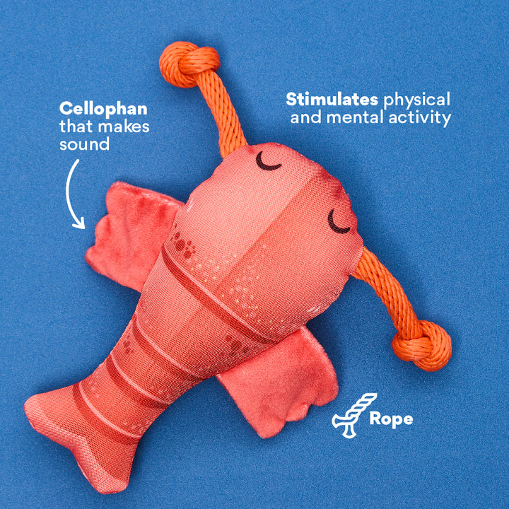 Kanu Pet Crawfish Plush Dog Toy | Kanu Pet