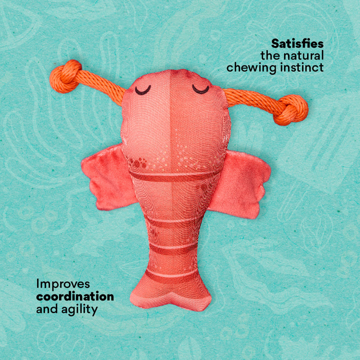 Kanu Pet Crawfish Plush Dog Toy | Kanu Pet