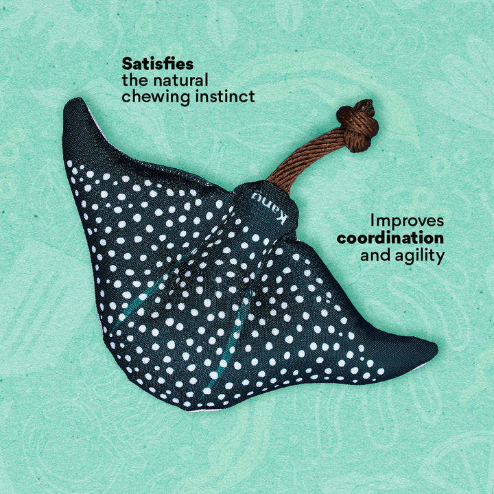 Kanu Pet Stingray Plush Dog Toy | Kanu Pet
