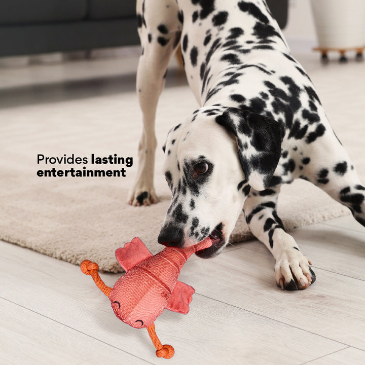 Kanu Pet Crawfish Plush Dog Toy | Kanu Pet