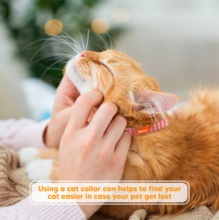 Kanu Necklace Bell for Cats | Kanu Pet