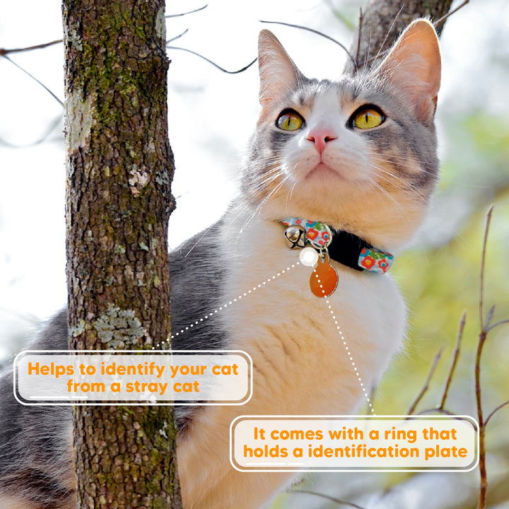 Kanu Necklace Bell for Cats | Kanu Pet