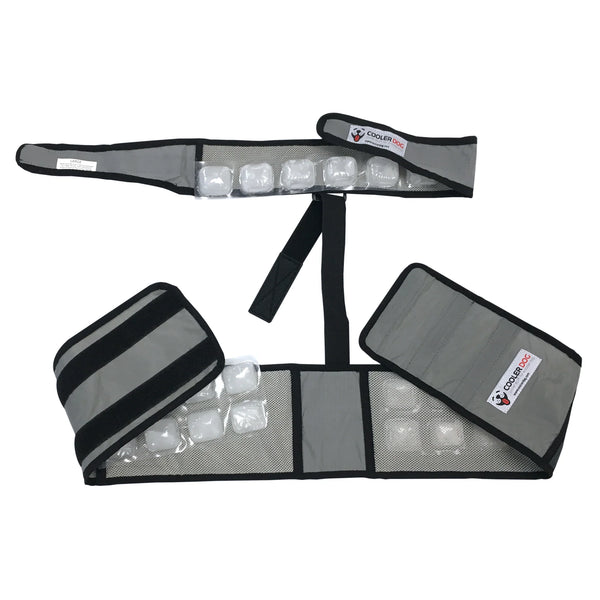 CoolerDog Cooling Dog Vest/Collar 