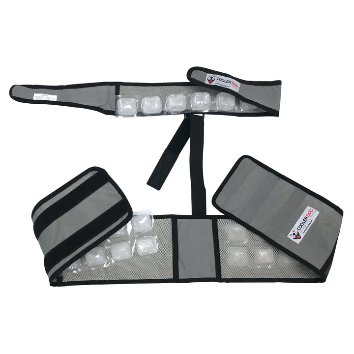CoolerDog Cooling Dog Vest/Collar 