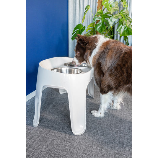 Moderna Skybar Elevated Double Dinner Dog Feeder | Kanu Pet