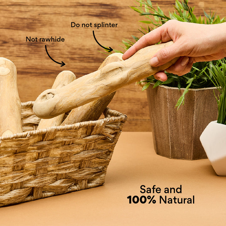 Kanu Pet Coffee Sticks For Dogs | Kanu Pet