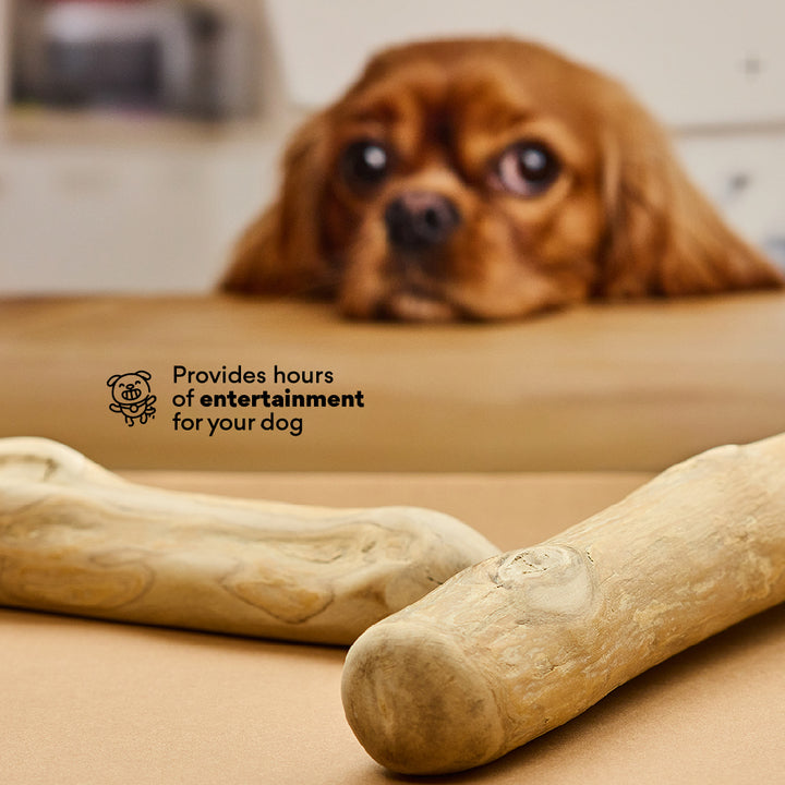 Kanu Pet Coffee Sticks For Dogs | Kanu Pet