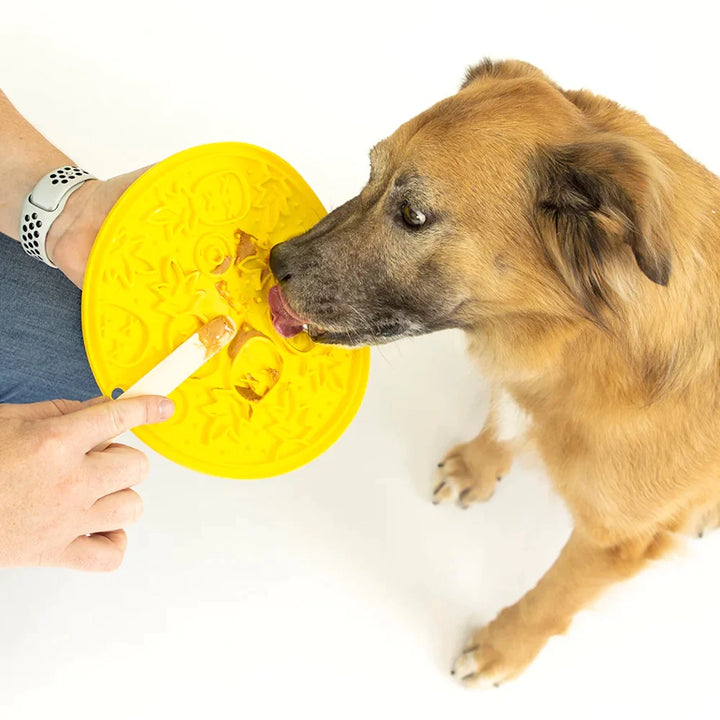 Pet Play ZoomieRex  Lick Mat | Kanu Pet