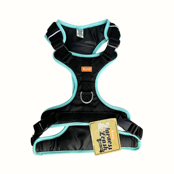 Kanu Pet Mini Walker Harness Black/Mint for Dogs