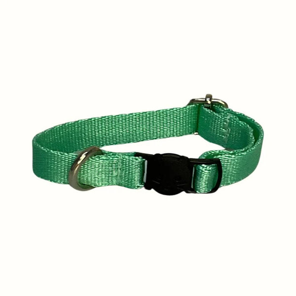 Kanu Pet Mint Green Collar for Cats