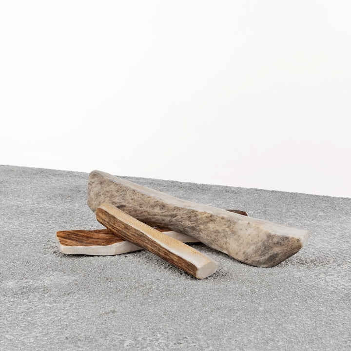 Primal™ Moose Antler chew for Dog | Kanu Pet