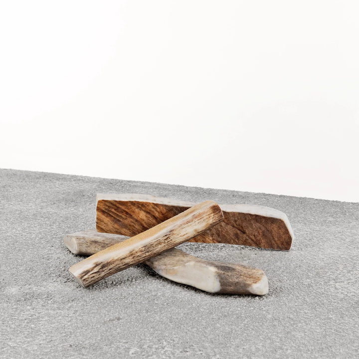 Primal™ Moose Antler chew for Dog | Kanu Pet
