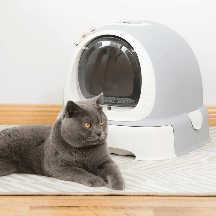 Quickway Enclosed Hooded Litter Pan with Door for Cats |Kanu Pet
